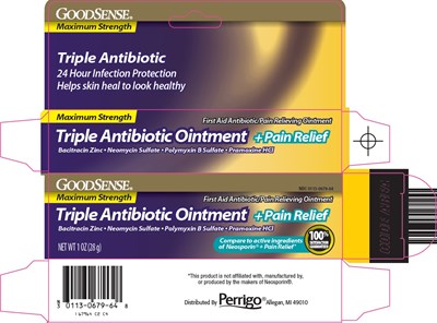 05 10 17 6796462C4 F.jpg Goodsense Triple Antibiotic ointment + pain relief - 05 10 17 6796462C4 F